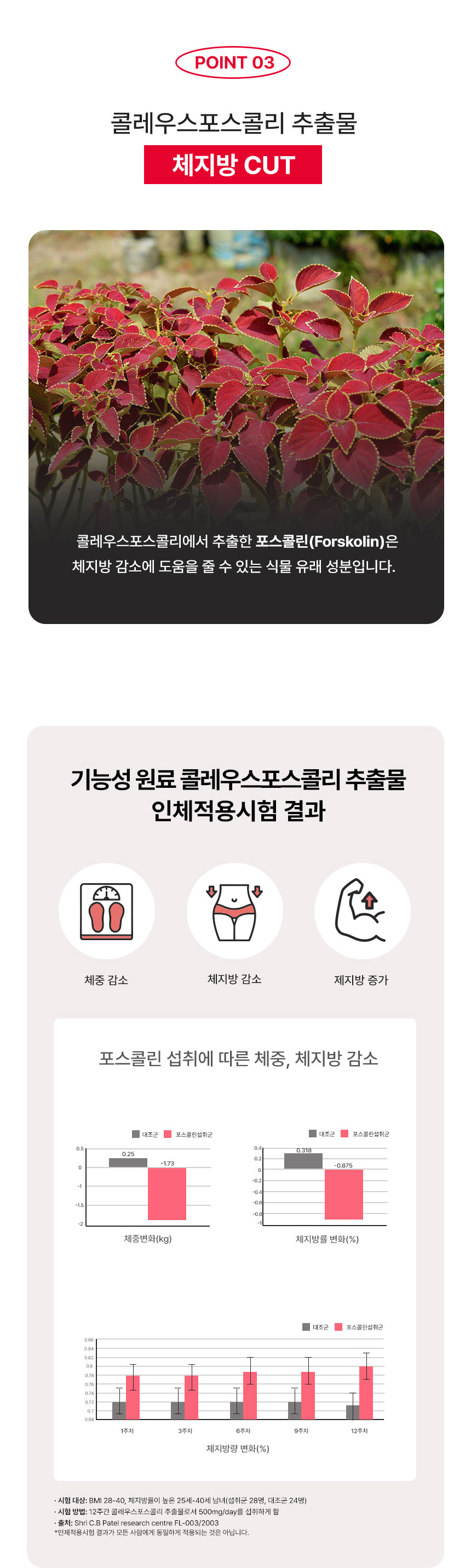 뉴비아 다이어트 컷