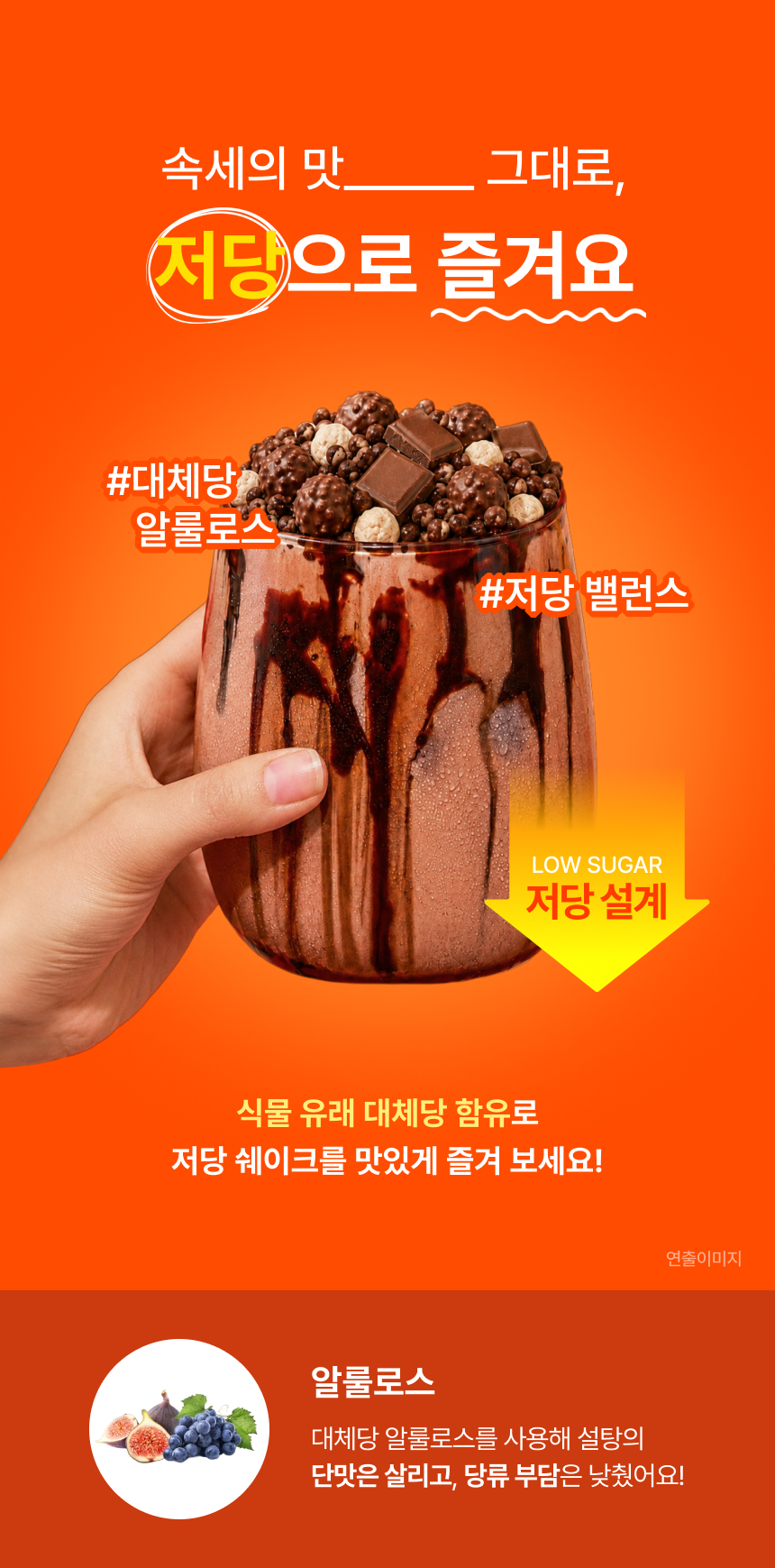 뉴시아 다이어트 쉐이크
