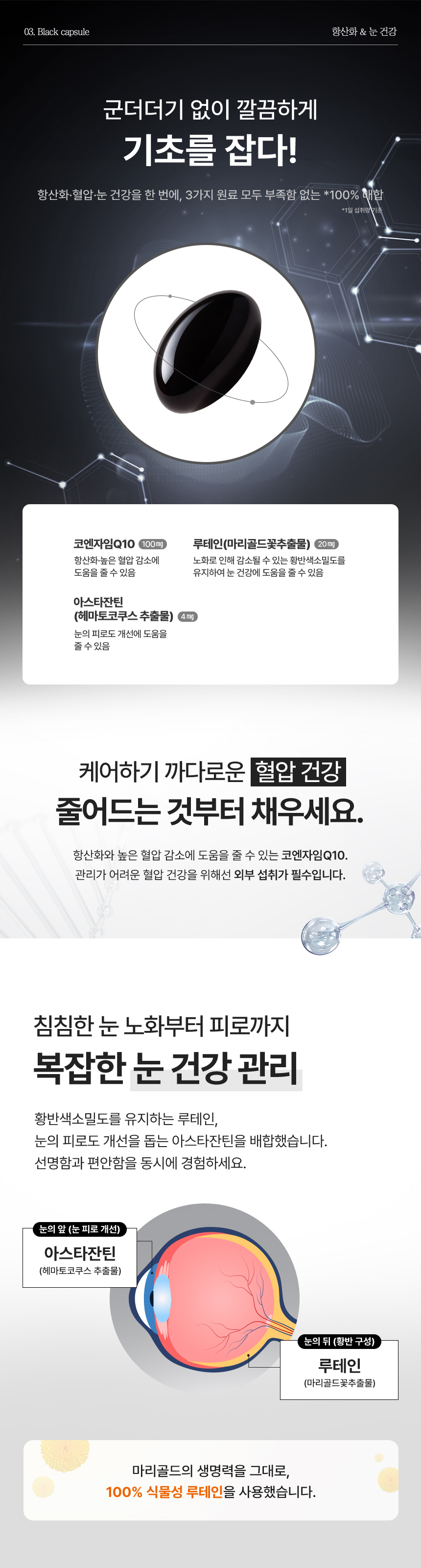 뉴시아 로얄 골든팩