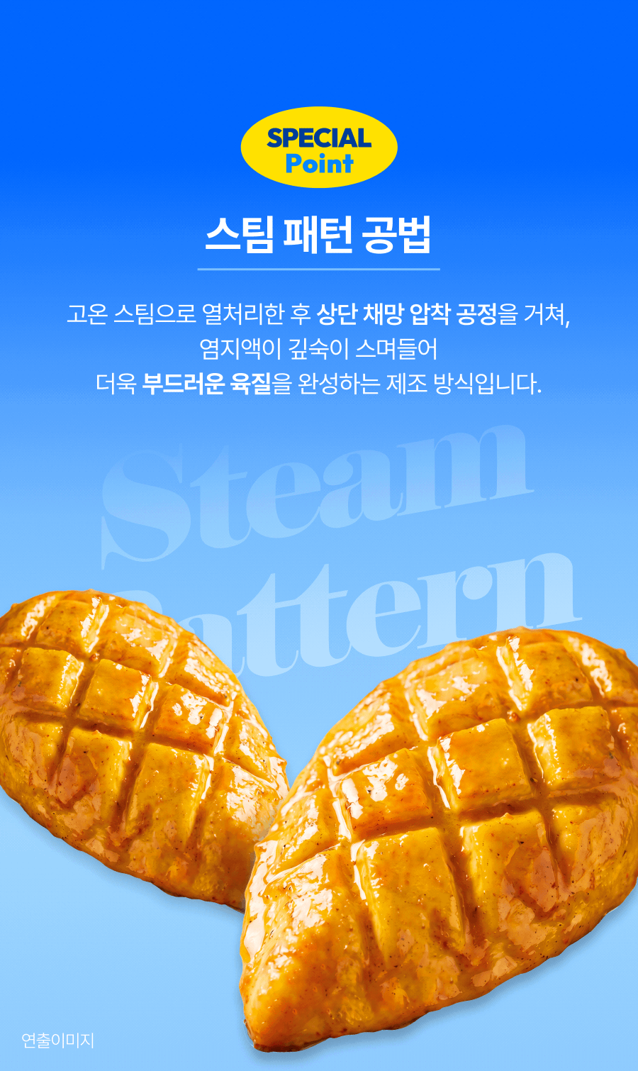 제로슈가 닭가슴살